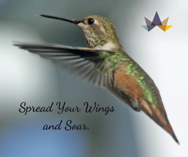 Spread Your Wings and Soar