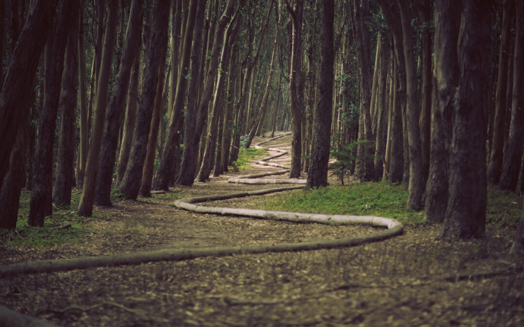 Avoid Business Failure